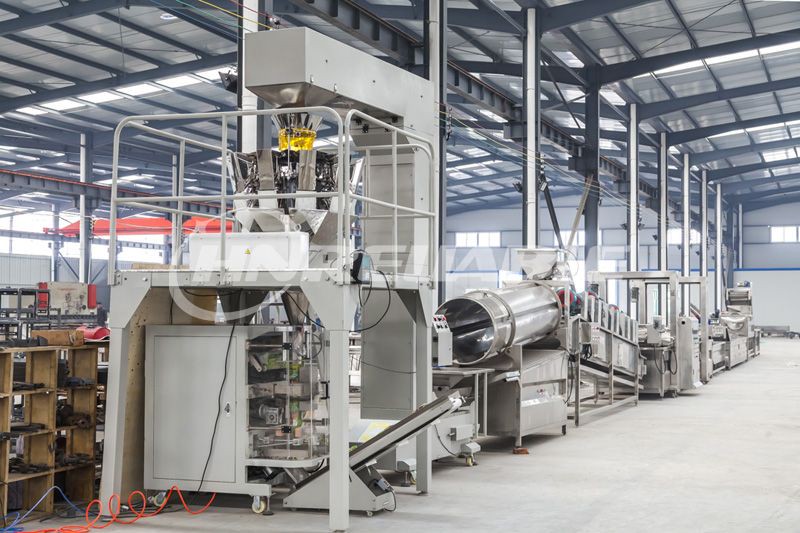 Automatic Ginger Washer Machine